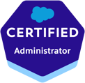 Zertifizierter Salesforce-Administrator - Partneragentur für CRM Implementation Agency SUNZINET